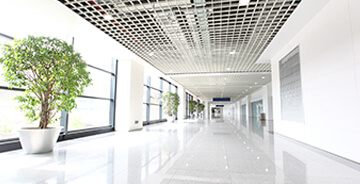 Corporate building lobby that shows a large plant and vented ceiling